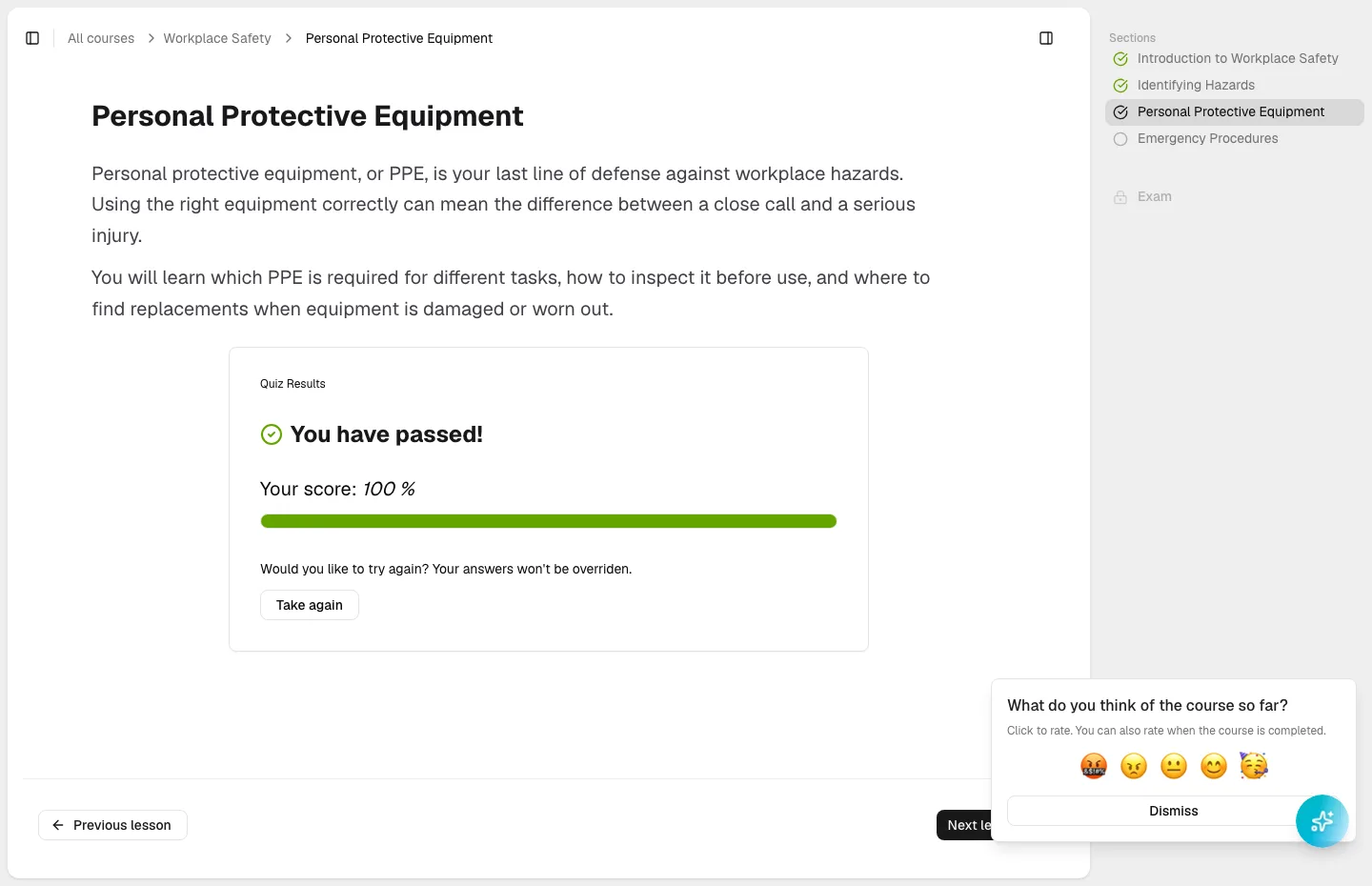 The Personal Protective Equipment section open for reading: the breadcrumb trail, a passed quiz's results with a Take again button, the right Sections panel showing it as the current section, and Previous lesson / Next lesson buttons at the bottom