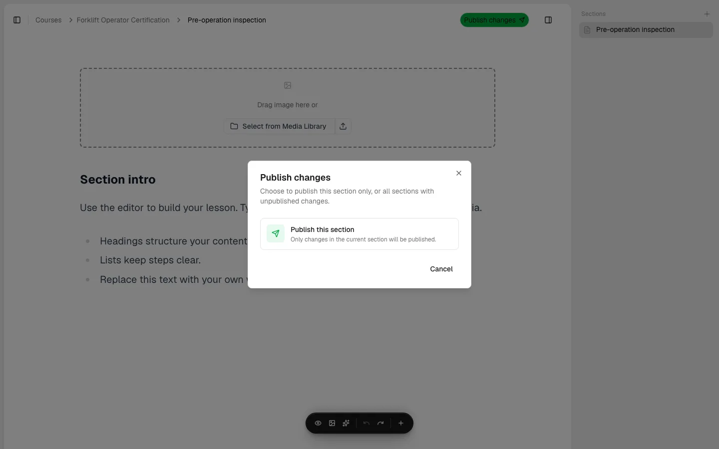 The Publish changes dialog with a "Publish this section" option